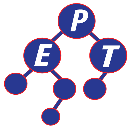 Expert Programming Tutor